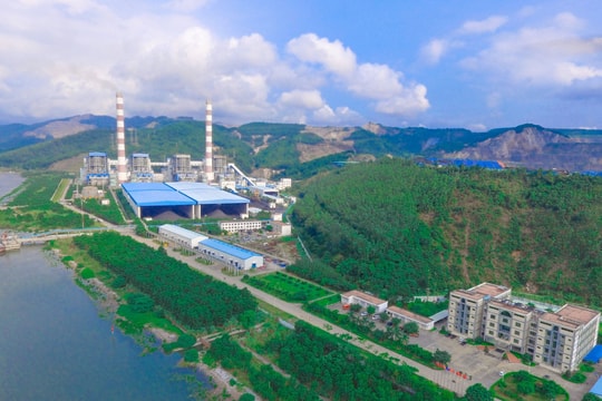 Chủ tịch Nhiệt điện Quảng Ninh lên tiếng về việc Phó Tổng Giám đốc kiêm Thành viên HĐQT bị khởi tố, bắt tạm giam 