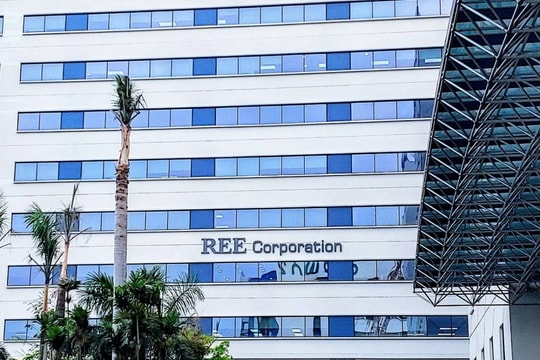 “Cá mập” Platinum Victory mua hụt cổ phiếu REE