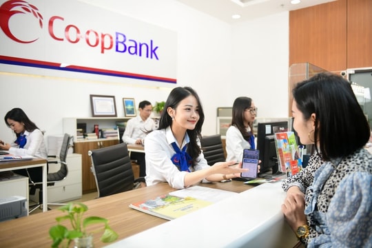 Kết luận thanh tra Ngân hàng Hợp tác xã Việt Nam Chi nhánh Ninh Bình (Co-opBank Ninh Bình)