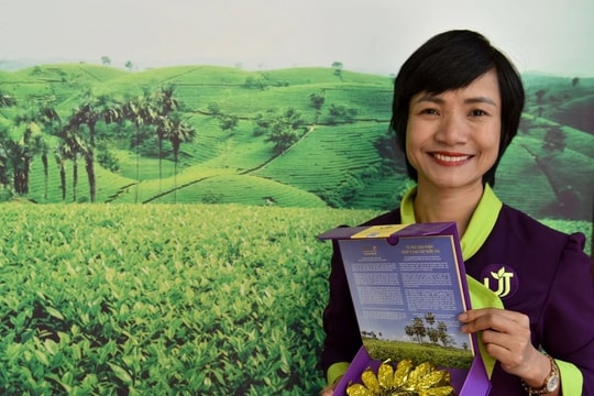 Hồi sinh loại cây từng bị đốn làm củi, chứa 'chất quý' gấp 135 lần bình thường, nữ giám đốc thu hơn 1 tỷ đồng/tấn