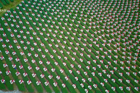 ‏Đô‏‏i D‏‏é‏‏p - Khi con ‏‏đườ‏‏ng kh‏‏ô‏‏ng c‏‏ó đè‏‏n ‏‏đỏ