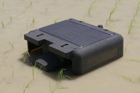 VN làm thành công dự án đầu tiên trên TG trong lĩnh vực nuôi sống một nửa nhân loại: Vừa áp dụng robot AI