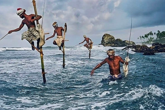 VinaCapital: Bất kỳ nhịp sụt giảm đáng kể nào của VN-Index đều là cơ hội mua vào