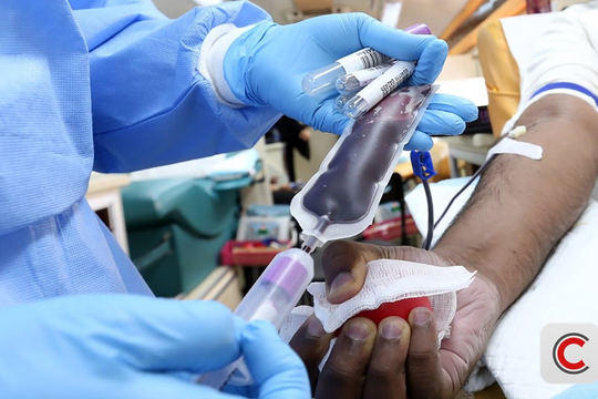 Bê bối chao đảo ngành y: Hai bệnh nhân ung thư tử vong vì thiết bị lọc máu, công ty đứng sau nhận cáo buộc che giấu sự thật