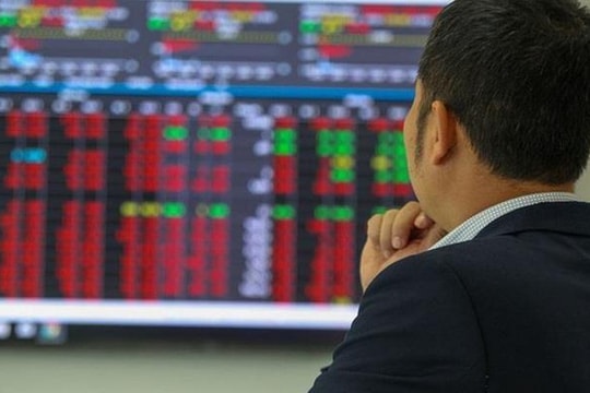 Góc nhìn chuyên gia: Cần tính đến kịch bản VN-Index về 1.600 điểm, một nhóm cổ phiếu có cơ hội đón dòng tiền