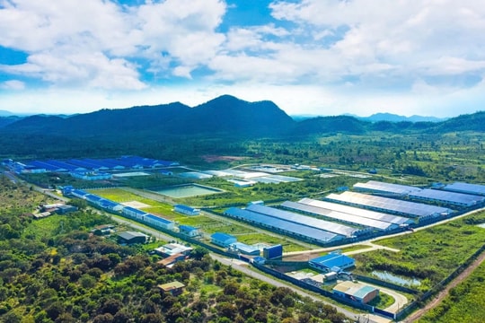 De Heus bắt tay Hùng Nhơn đầu tư 18.300 tỷ đồng thúc đẩy chuỗi chăn nuôi bền vững, mở đường cho xuất khẩu, hướng tới doanh thu 2 tỷ USD mỗi năm