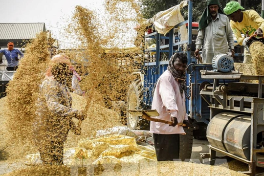 Quốc gia châu Á sản xuất 150 triệu tấn gạo/năm, vừa vượt Trung Quốc trở thành nhà cung cấp số 1 thế giới 