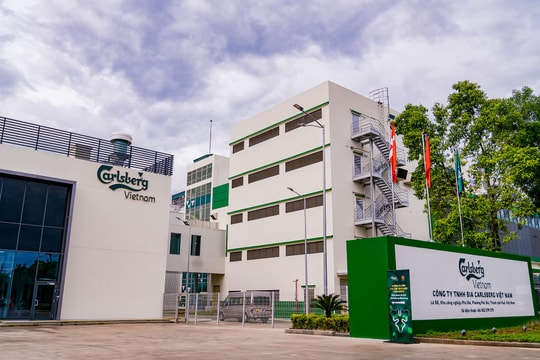 Hãng bia Carlsberg tại Việt Nam lỗ hơn 800 tỷ đồng năm 2025, dù doanh thu "khủng" gần 16.000 tỷ đồng
