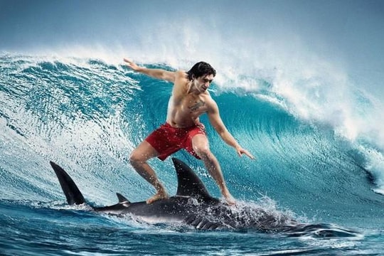 Dấu hiệu VN-Index tạo đáy thành công và sắp bước vào sóng mới?