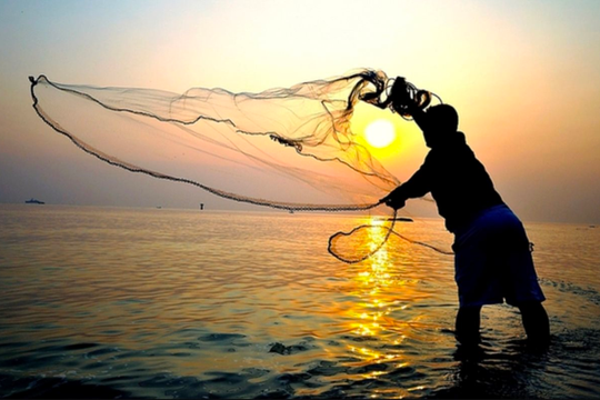 Chuyên gia cảnh báo một cái "bẫy" thường gặp trên thị trường chứng khoán