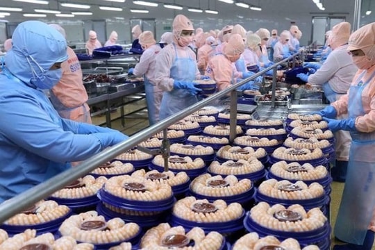 Lãi kỷ lục 2025, một công ty chốt ngày chi trả cổ tức tiền mặt 30% 