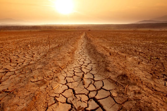 Vietcap: El Nino "tái xuất" sau tháng 8, lộ diện những mã cổ phiếu tiềm năng