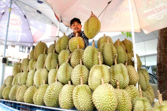 Đua với sầu riêng Việt Nam, Thái Lan ra nước cờ mới thông qua Lào