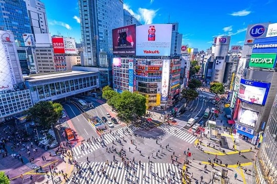 Hạ tầng tỷ đô và tổ hợp thể thao quốc gia: cú hích kép cho bất động sản Nam Rạch Chiếc