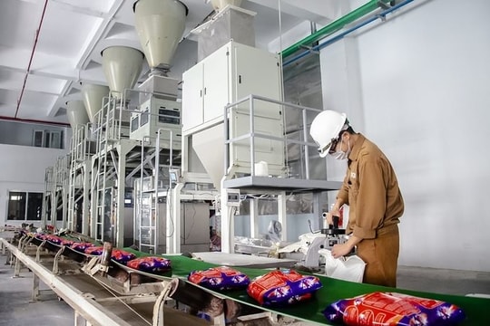 “Giải cứu” bất thành Hóa chất Đức Giang