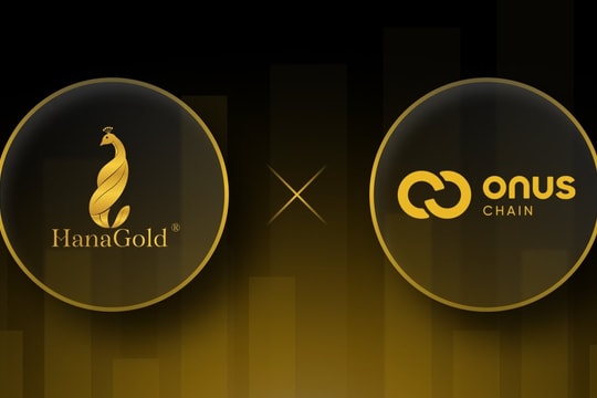 Công ty có quan hệ mật thiết với ONUS và HanaGold: Vốn mỏng, lợi nhuận cả năm chỉ vài tỷ nhưng ôm tham vọng làm sàn tài sản số