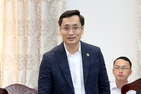 13 dự án du lịch do Novaland gặp khó, lãnh đạo tỉnh Lâm Đồng chỉ đạo tháo gỡ