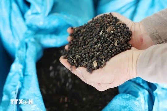 Việt Nam đón tin cực vui từ Thái Lan