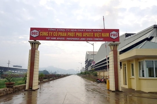 Công ty con của Hoá chất Đức Giang triệu tập ĐHĐCĐ bất thường thay 4/5 thành viên HĐQT bị khởi tố 