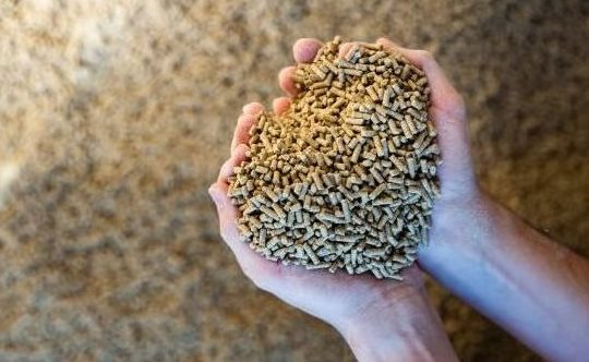 Căng thẳng Trung Đông: Trung Quốc gặp khó với một ngành công nghiệp đang dẫn đầu thế giới
