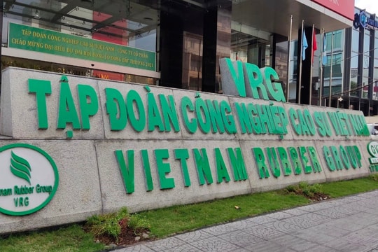 Cổ phiếu GVR “trắng bên bán”, dòng tiền "bắt đáy" kích hoạt cú tăng kịch trần