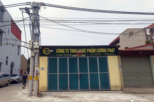 Chân dung công ty đưa thịt lợn bệnh vào nhiều trường học tại Hà Nội