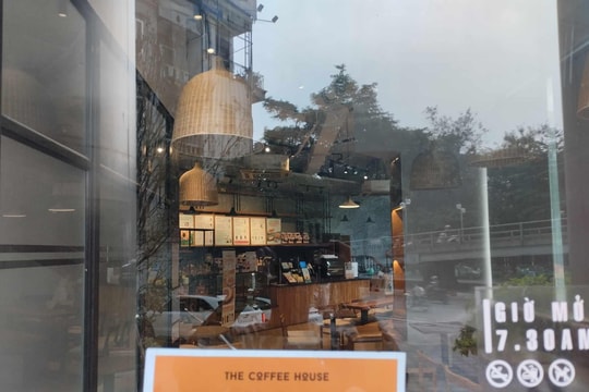 The Coffee House lỗ 6,4 tỷ đồng trong năm 2025, 'góp' cho Golden Gate khoản lỗ tổng cộng 73,7 tỷ đồng