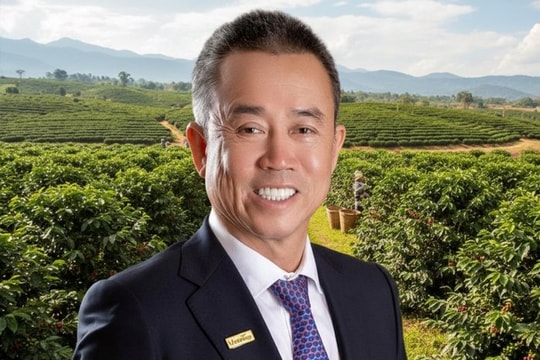 Một 'ông trùm' Việt Nam muốn làm 24.000 ha cà phê lớn nhất thế giới, vượt tham vọng của bầu Đức 