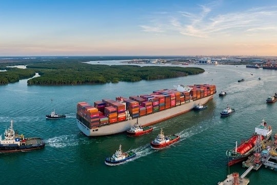 Doanh nghiệp hoa tiêu đồng loạt giảm 10% phí chia sẻ gánh nặng với doanh nghiệp vận tải biển