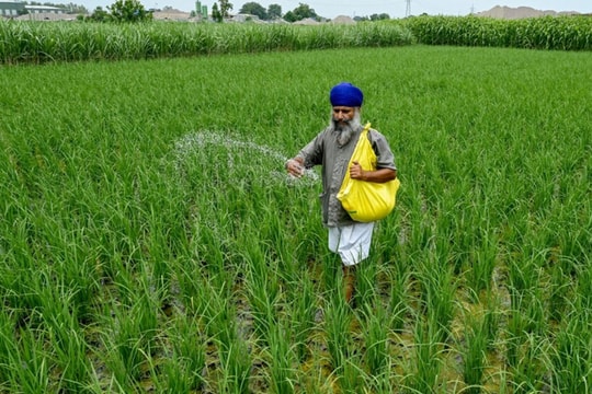 Giá mặt hàng quan trọng tăng sốc tới 83%, một quốc gia BRICS lập tức 'cầu cứu' từ Nga đến Việt Nam để nhập khẩu