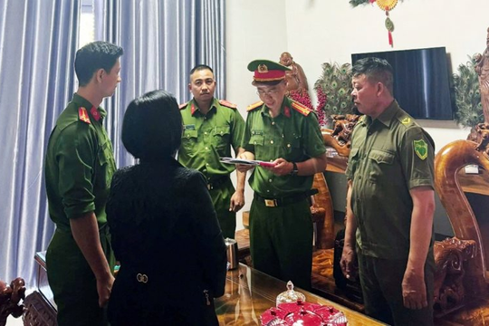 1 chủ hộ kinh doanh bị khởi tố vì buôn bán gỗ có doanh thu 143 tỷ đồng nhưng chỉ nộp thuế 900k