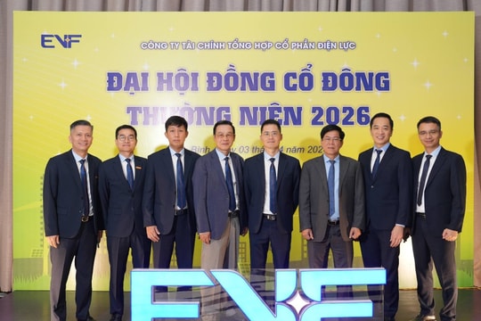 Kết quả kinh doanh khả quan, vì sao cổ phiếu EVF lại không đạt kỳ vọng?