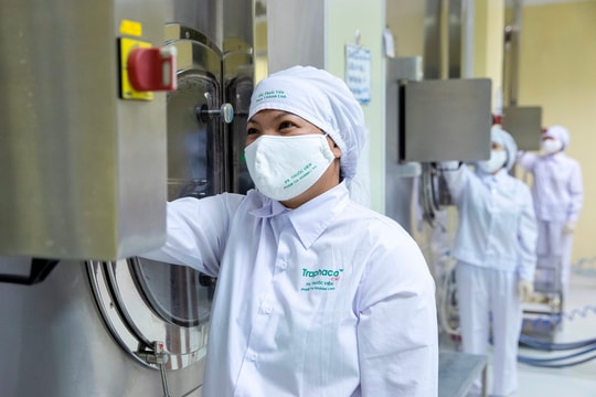 Traphaco đặt kế hoạch 306 tỷ lợi nhuận sau thuế trong năm 2026, tăng 10%