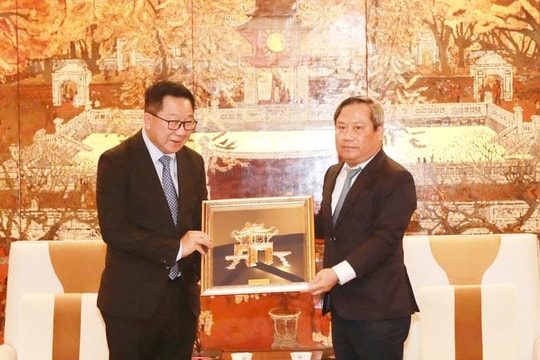 Lào báo tin vui hơn 6,2 tỷ USD cho Việt Nam, “đất nước triệu voi” sẽ làm một việc đặc biệt cho DN Việt