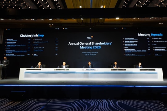 ĐHCĐ VIB: Dự kiến chia cổ tức tổng 19%, trong đó 9% bằng tiền mặt; đặt mục tiêu dẫn đầu thị trường thẻ trong 3 năm tới