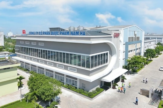 Lợi nhuận tăng mạnh, Dược Nam Hà chi tiền tỷ trả thù lao cho CEO