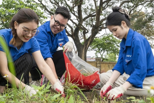 Tin vui: Hàng nghìn người ở Việt Nam tham gia một thử thách do quỹ của tỷ phú Phạm Nhật Vượng phát động