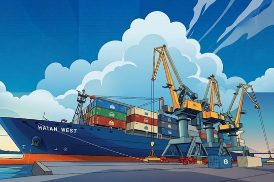 CTCP Vận tải và Xếp dỡ Hải An bị đưa vào diện kiểm tra thuế 