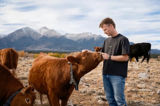 9 năm ám ảnh với vòng cổ bò, CEO 30 tuổi bị chê ngớ ngẩn khi khởi nghiệp, cuối cùng dựng lên startup 2 tỷ USD