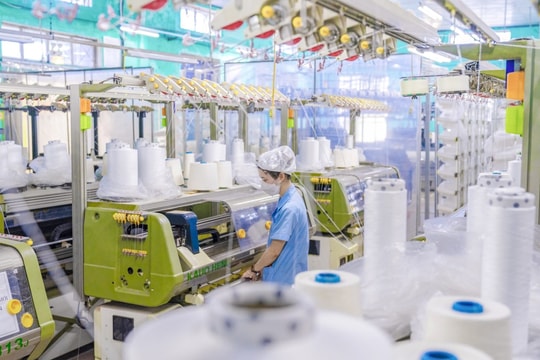 Tập đoàn dệt may lớn nhất Việt Nam báo lãi tăng 31% trong quý đầu năm 2026