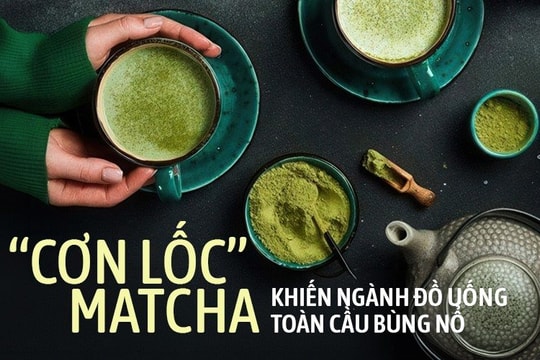 Giá matcha tăng 180% trong vòng 1 năm: Ngành đồ uống toàn cầu chạy đua săn lùng trend mới