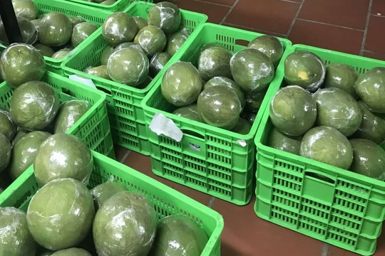 Tin vui: Loại quả Việt Nam trồng hơn 100.000 ha vừa chính thức có “visa” sang Trung Quốc