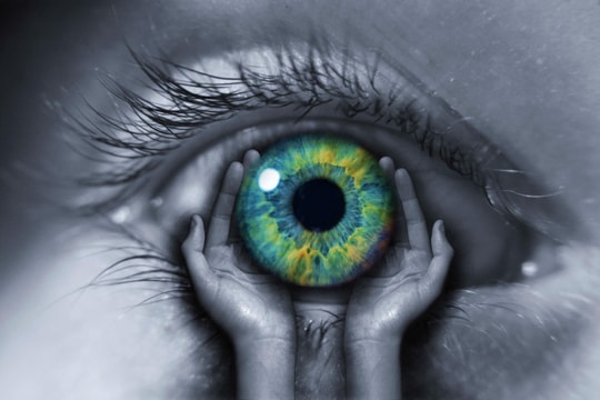 Ghép giác mạc lợn cho người, công ty Việt Nam sở hữu công nghệ cứu 500.000 người mù do bệnh lý