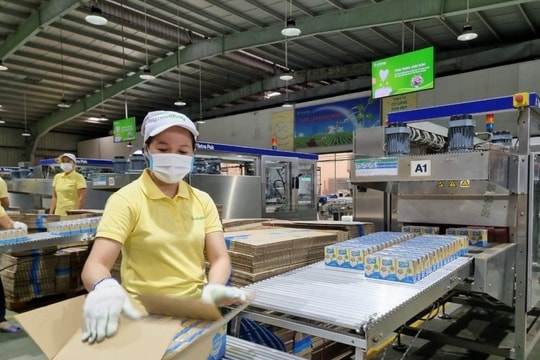 Một công ty sắp chốt ngày trả cổ tức 20% bằng tiền mặt, duy trì mức 40% năm thứ ba liên tiếp 