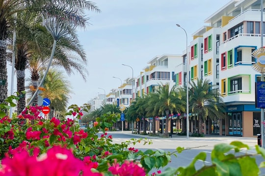 Các 'huyền thoại' ngành sản xuất của Việt Nam như Hòa Phát, Tân Á Đại Thành, Bitis, KIDO đang làm bất động sản ra sao?