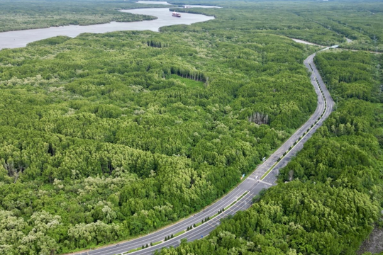 TP.HCM giao Vingroup nghiên cứu nâng cấp đường Rừng Sác lên 10 làn xe