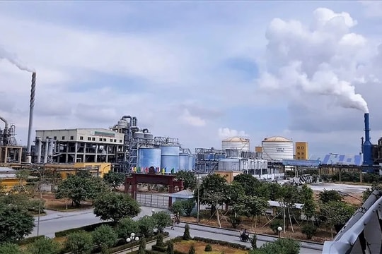 2 lãnh đạo một công ty phân bón 4.000 tỷ đồng loạt từ nhiệm trước thềm ĐHĐCĐ thường niên