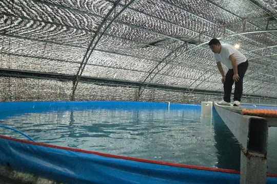 Nuôi cá thu ngay trên đất liền: "Siêu công nghệ" từ ông lớn chăn nuôi Việt Nam và liên minh Nhật - Hàn 