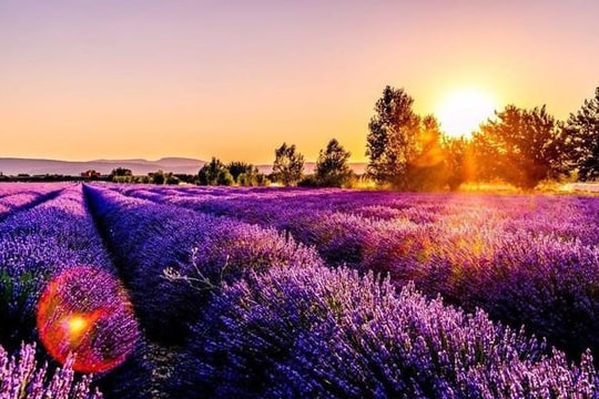 Một doanh nghiệp báo lãi quý 1 gấp 18 lần, vượt kế hoạch năm, cổ phiếu lập tức "tím lịm"