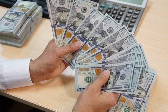 Người mua, bán ngoại tệ sẽ bị tịch thu số tiền nếu thực hiện hành vi sau